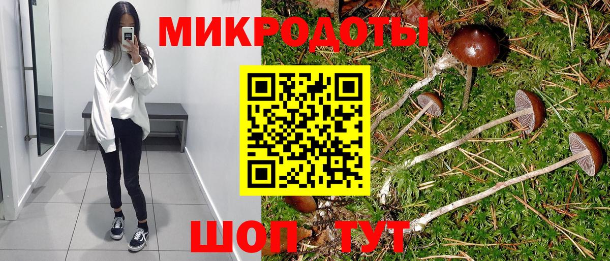 Галлюциногенные грибы MAGIC MUSHROOMS  Галлюциногенные грибы GOLDEN TEACHER  Спасск-Дальний  Вход с VPN 