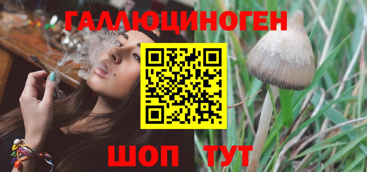 Галлюциногенные грибы GOLDEN TEACHER Спасск-Дальний